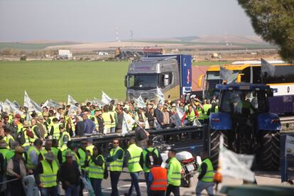 Pese a las suspicacias iniciales y a que recriminan al Ejecutivo cierta tibieza a la hora de impulsar medidas que ayuden al campo, los jornaleros saben que ha sido su presión, sacando los tractores a las carreteras y a las calles de varias capitales de provincias, la que ha provocado una reacción por parte de la Administración.