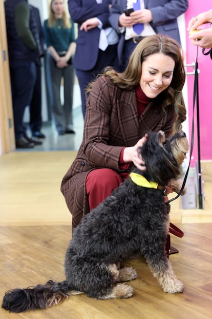 La princesa de Gales acaricia a 'Scout', uno de los perros de terapia que tiene el The Royal Marsden Hospital de Londres.