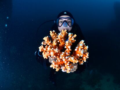 Marina Palacios, coordinadora del proyecto, sostiene en sus manos coral candelabro.