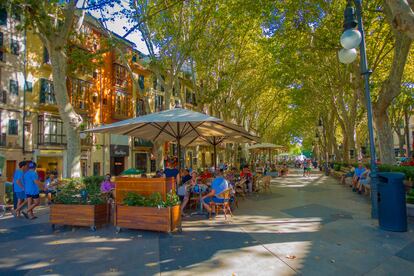 El paseo de Born es un espacio en el que los coches no mandan, y que proporciona una cierta tranquilidad entre el ajetreo del centro de Palma.