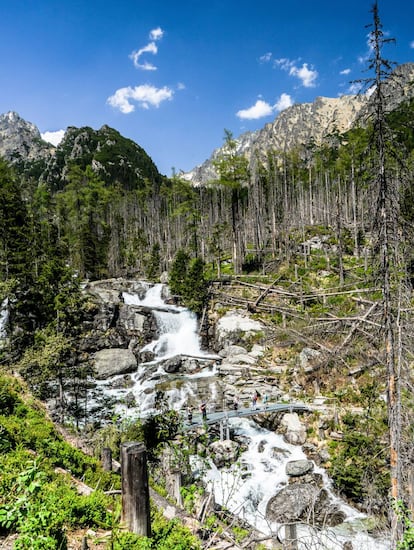 Sin movernos del valle de Velka Studena, un sencillo y corto sendero conduce desde el cruce (y punto de información) de Rainerovou, en la parte baja de la garganta, hasta la hermosa sucesión de cascadas de Vodopády Studeného (también llamadas Cold Creek waterfalls, en la imagen), entre cuyos saltos destaca el de Obrovský, con 20 metros de elegante caída.