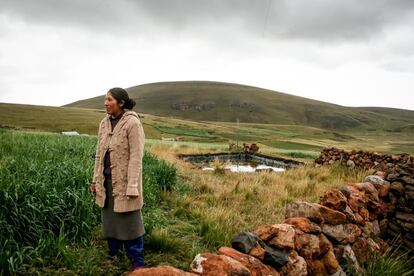 Luz Vilma Carata tiene 22 años y es teniente gobernadora de las comunidad de Puerto Arturo. En esta localidad, los vecinos siembran un pasto mejorado resistente a las heladas y la sequía. Así, cuando caen las temperaturas, sus alpacas, ovejas y vacas no se quedan sin sustento. "Si no hay pasto, los animales comen menos y vendemos menos carne", explica en quechua. Para ella, ganar menos supone no poder alimentar bien a su bebé. Ahora sabe que si gestiona bien el riesgo y previene los daños antes de que el frío congele, obtendrá más ganancias y, con ello, mejor calidad de vida para ella y su hijo. Tras ella, en la imagen, se puede ver uno de los depósitos temporales de agua que Acción contra el Hambre les ha ayudado a construir para disponer de agua en época de sequía.