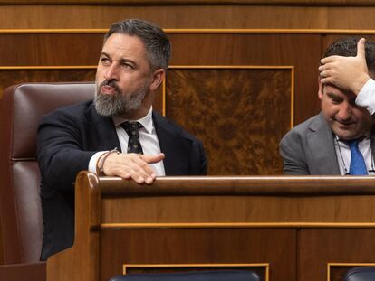 El líder de Vox, Santiago Abascal (izquierda), durante una sesión plenaria del Congreso de los Diputados, este jueves.