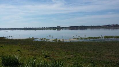 La marisma de Doñana, tercera parada de la ruta.