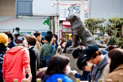 Peatones atravesando la plaza de la estación de Shibuya, presidida por la estatua del perro 'Hachiko'.