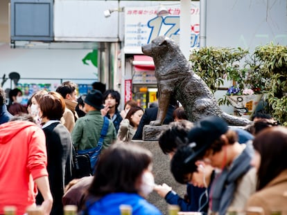 The statue of the dog Hachiko at Shibuya Crossing in Tokyo.