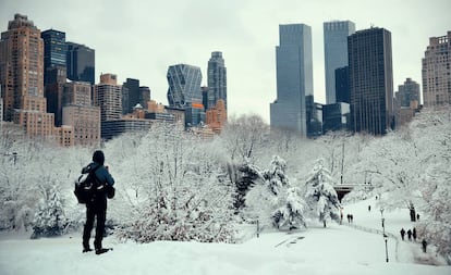 Central Park es el parque urbano más grande de la ciudad de Nueva York y uno de los más famosos de todo el mundo.