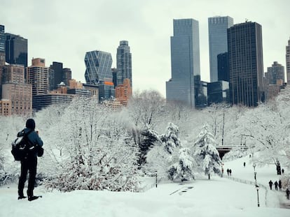 Central Park es el parque urbano más grande de la ciudad de Nueva York y uno de los más famosos de todo el mundo.