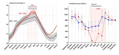 Gráficos de las temperaturas del agua y los huevos viables.