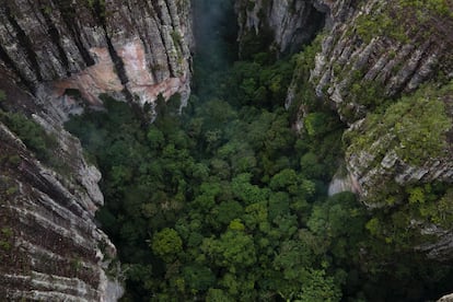 La Serranía de Chiribiquete, en la región amazónica colombiana