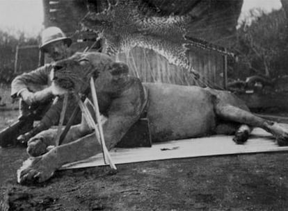 El coronel Patterson junto a uno de los leones que abatió en diciembre de 1898.