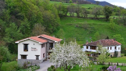 El Alesga Hotel Rural est en un entorno privilegiado.