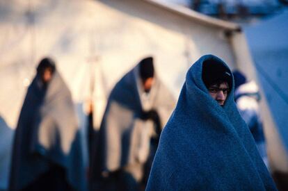 En la fotografía, un grupo de inmigrantes cubiertos con mantas para paliar el frío esperan para ser registrados en el campo de Presevo, Serbia.