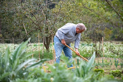 Algunes de les noves activitats agroalimentàries de l’àrea metropolitana compten amb el suport actiu del Centre d’Intercanvi d’Aliments de Proximitat.