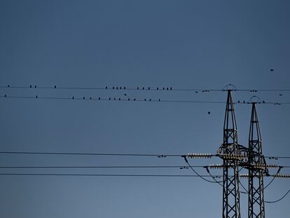 Tendido eléctrico a las afueras de Sevilla, en una foto de enero.