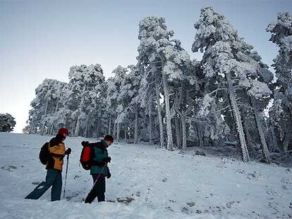 Excursionistas, el pasado fin de semana, en la sierra del Guadarrama, recorriendo el camino Schmidt, que une Cercedilla con Navacerrada.