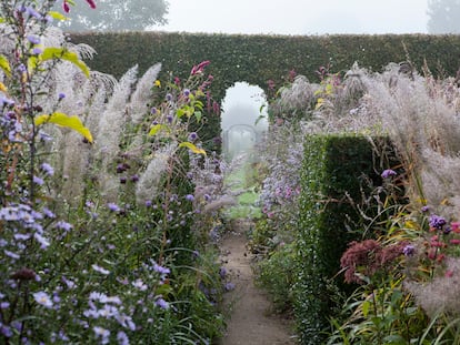 El jardín Plume, en la región de Alta Normandía (Francia), en otoño está cercado por setos de haya y carpe.