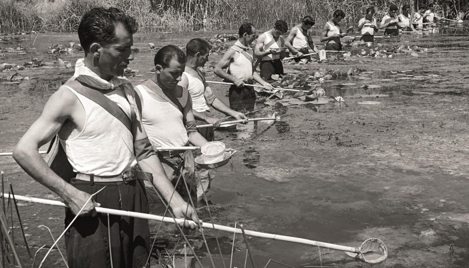 Brigada contra la malaria destinada a eliminar los mosquitos en Cerdeña, a finales de los años cuarenta del pasado siglo. (Wolf Suschitzky)