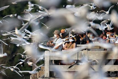 La gente mira gaviotas en el balneario de Bang Pu (Tailandia). Las autoridades de Tailandia han ordenado este miércoles a los gobernadores regionales que presenten cargos contra cuatro personas contagiadas con coronavirus que entraron de manera ilegal en el país desde la frontera con Birmania.