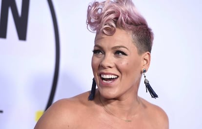 Pink en los American Music Awards el pasado el pasado noviembre.
