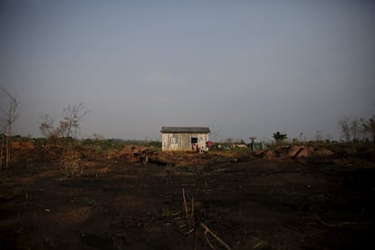 A family is pictured outside their house in Rio Pardo next to Bom Futuro National Forest, in the district of Porto Velho, Rondonia State, Brazil, September 1, 2015. The town of Rio Pardo, a settlement of about 4,000 people in the Amazon rainforest, rises where only jungle stood less than a quarter of a century ago. Loggers first cleared the forest followed by ranchers and farmers, then small merchants and prospectors. Brazil's government has stated a goal of eliminating illegal deforestation, but enforcing the law in remote corners like Rio Pardo is far from easy. REUTERS/Nacho DocePICTURE 10 OF 40 FOR WIDER IMAGE STORY "EARTHPRINTS: RIO PARDO" SEARCH"EARTHPRINTS PARDO" FOR ALL IMAGES