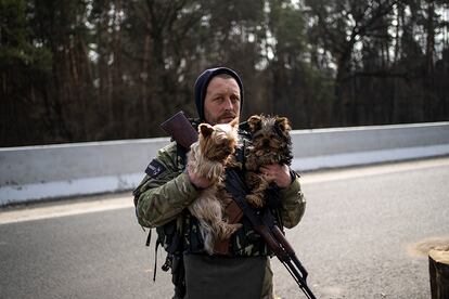 Un soldado ucraniano sostiene dos perros rescatados de las calles en un puesto de control en Brovary, en las afueras de Kiev. Los ministros de Interior de la Unión Europea (UE) celebrarán el lunes una reunión extraordinaria para tratar de coordinar la acogida de los más de 3,7 millones de refugiados que han llegado huyendo de la invasión rusa en Ucrania, la mayor parte de los cuales se encuentra en los Estados miembros fronterizos, especialmente en Polonia.