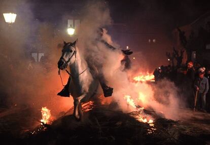 Los caballos y burros que participan son engalanados por sus jinetes para la gran noche de San Antón. Este año casi 100 caballos han participado en la fiesta.