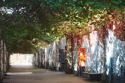 Calle emparrada en la Universidad australiana de Melbourne, en una foto cedida por la institución.