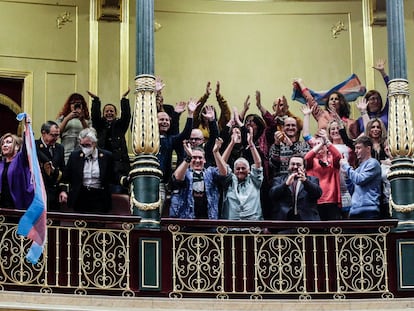 El público asistente al pleno del Congreso celebra la aprobación de la 'ley trans'.