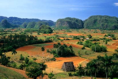 Panorámica del valle de Viñales (a 180 kilómetros de La Habana), patrimonio mundial y donde destacan las elevaciones kársticas llamadas mogotes.