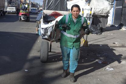 Paula Andrea Vargas, que recicla desde los 12 años en las calles de Bogotá, trabaja 10 horas diarias tirando a pie de su zorro, la carreta en la que carga el material recuperado que encuentra entre la basura, ya sea cartón, papel o metal.