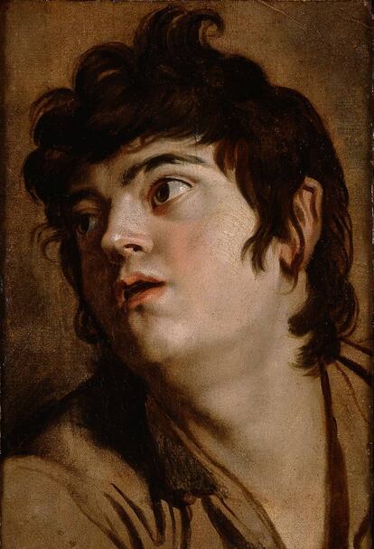 Otro gran maestro como Rubens se suma a la muestra, que puede visitarse hasta el 18 de septiembre, con 'Cabeza de un joven', 1601-1602.