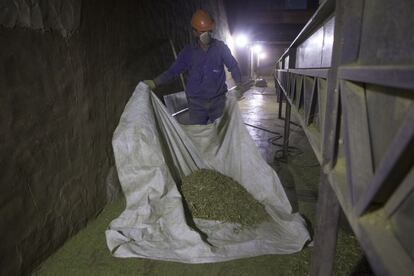 Proceso de secado y embolsado de yerba mate en la Cooperativa Agricola Mixta de Montecarlo, en la provincia de Misiones.