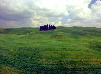 El ondulado paisaje del valle de Orcia, en la región italiana de la Toscana, cerca de Siena.