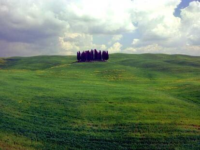 El ondulado paisaje del valle de Orcia, en la región italiana de la Toscana, cerca de Siena.