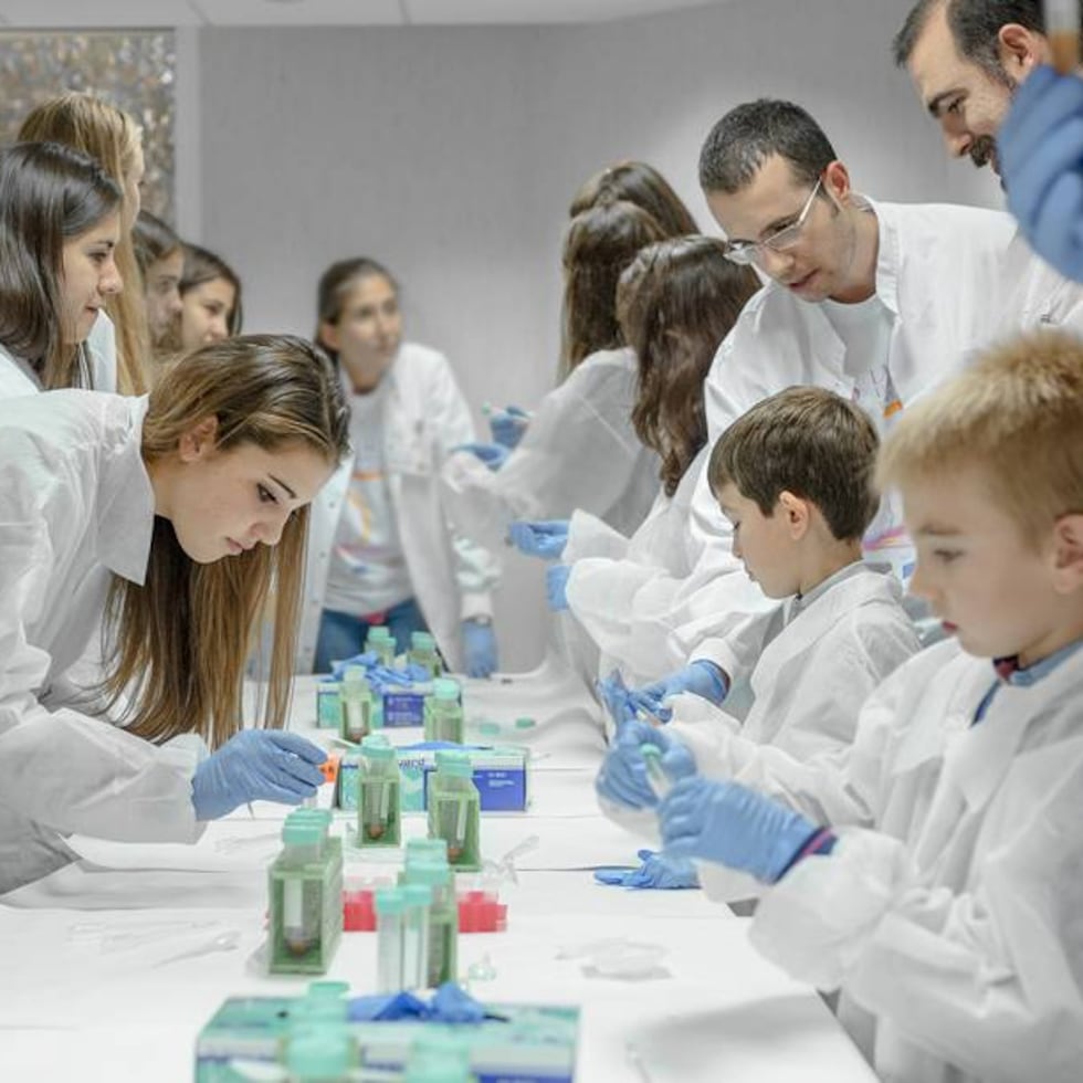 España se enfrenta a la pérdida de una generación de jóvenes investigadores | Ciencia | EL PAÍS