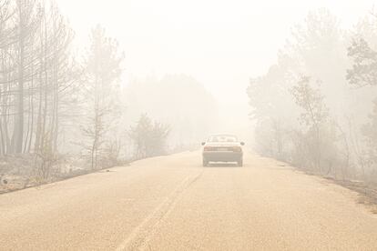 Carretera en el parque nacional de Dadiá completamente cubierta por ceniza y humo, este viernes 1 de septiembre. 
