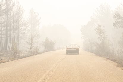 Carretera en el parque nacional de Dadiá completamente cubierta por ceniza y humo, este viernes 1 de septiembre.