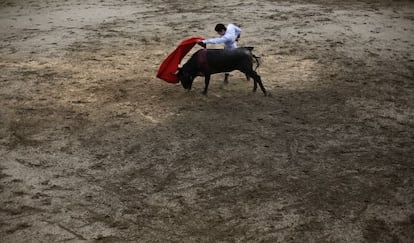 El torero Alejandro Talavante. 