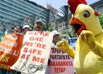 Un grupo de 200 veterinarios y criadores avícolas se manifiestan para animar a los ciudadanos a consumir pollo.