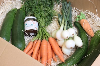 Verduras de la cooperativa Labrecos, en A Coruña. 