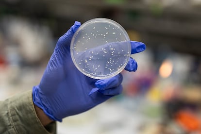 The primary ‘human domainome’ finds the reason for a large number of sicknesses The primary ‘human domainome’ finds the reason for a large number of sicknesses