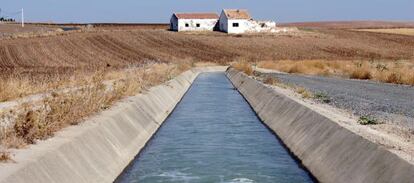 Canales de riego con agua procedente del pantano Torre del Águila, en Utrera.