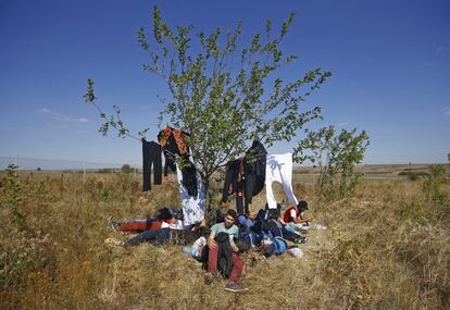 Refugiados sirios descansan bajo un árbol durante su camino al pueblo griego de Edirne, cerca de la frontera con Turquía.