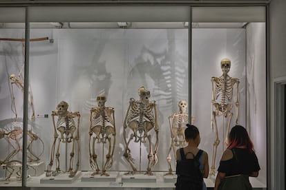 Museo de Zoología de la Universidad de Cambridge