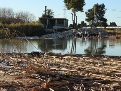 Acumulaci&oacute;n de ramas secas junto al J&uacute;car en el azud de Cullera. Al fondo, manifestantes de X&uacute;quer Viu.