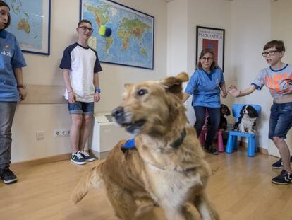 Una sesión de terapia asistida con perros para niños con trastorno alcohólico fetal en el hospital Vall d'Hebron