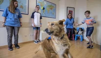 Una sesión de terapia asistida con perros para niños con trastorno alcohólico fetal en el hospital Vall d'Hebron