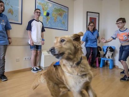 Una sesión de terapia asistida con perros para niños con trastorno alcohólico fetal en el hospital Vall d'Hebron