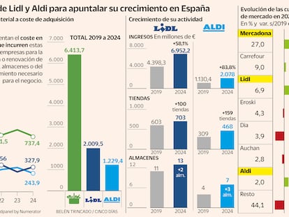 Lidl y Aldi invierten más de 3.200 millones en España desde 2019 para impulsar su cuota